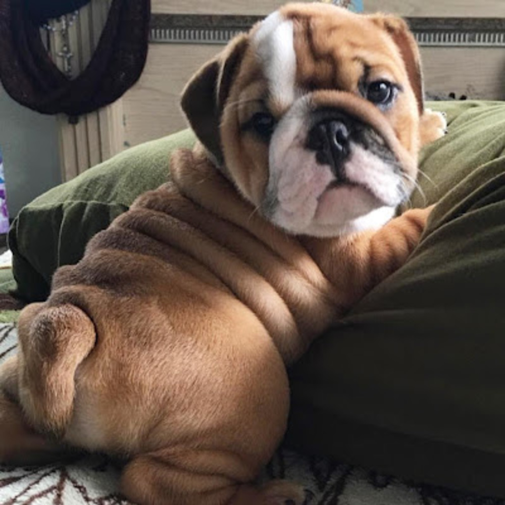 Meet your Posher, Stephanie